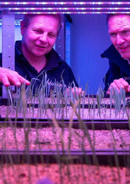 2. Transforming Tulip & Hyacinth Cultivation Through R&D